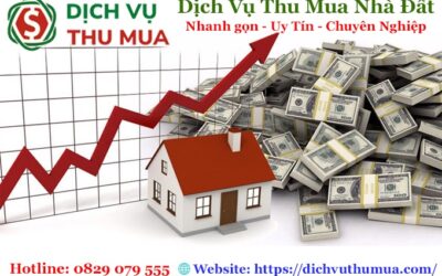 Dịch Vụ Thu Mua Nhà Đất Nhanh Gọn – Uy Tín Hàng Đầu Tại Dichvuthumua.com