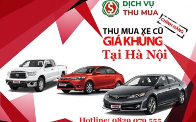 Dịch Vụ Thu Mua Ô Tô Cũ Tại Hà Nội: Giá Cao, Thủ Tục Gọn, Chuyên Nghiệp
