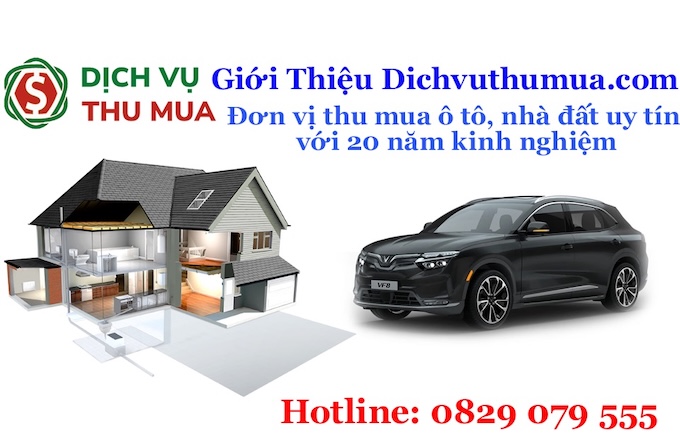 Giới Thiệu Dichvuthumua.com – Đơn vị thu mua ô tô, nhà đất uy tín với 20 năm kinh nghiệm